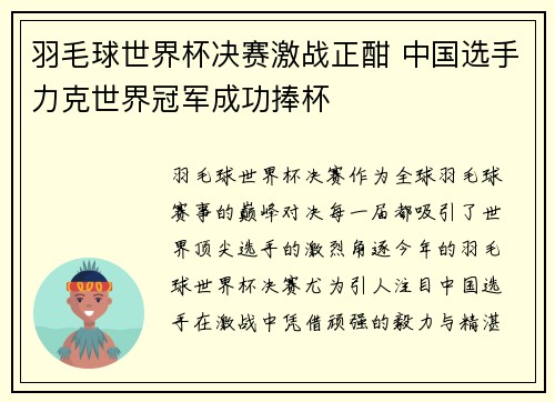 羽毛球世界杯决赛激战正酣 中国选手力克世界冠军成功捧杯